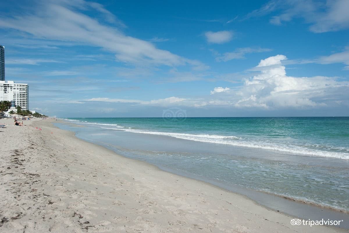 The Diplomat Beach Resort Hollywood beach view