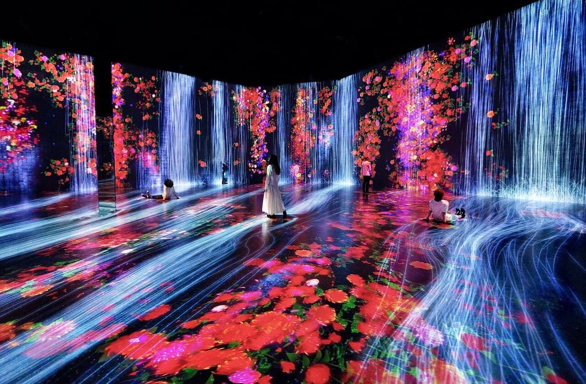 Colorful immersive installation at The Margulies Collection, Miami