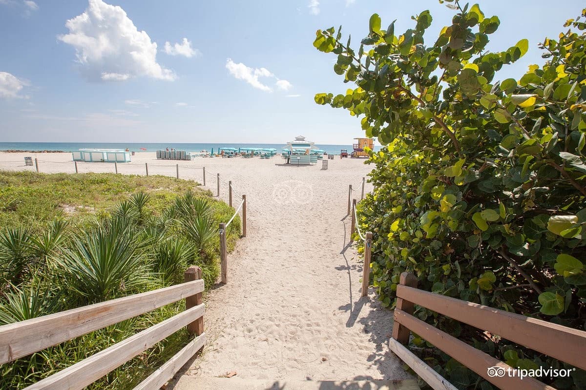 The Palms Hotel & Spa beach access in Miami Beach