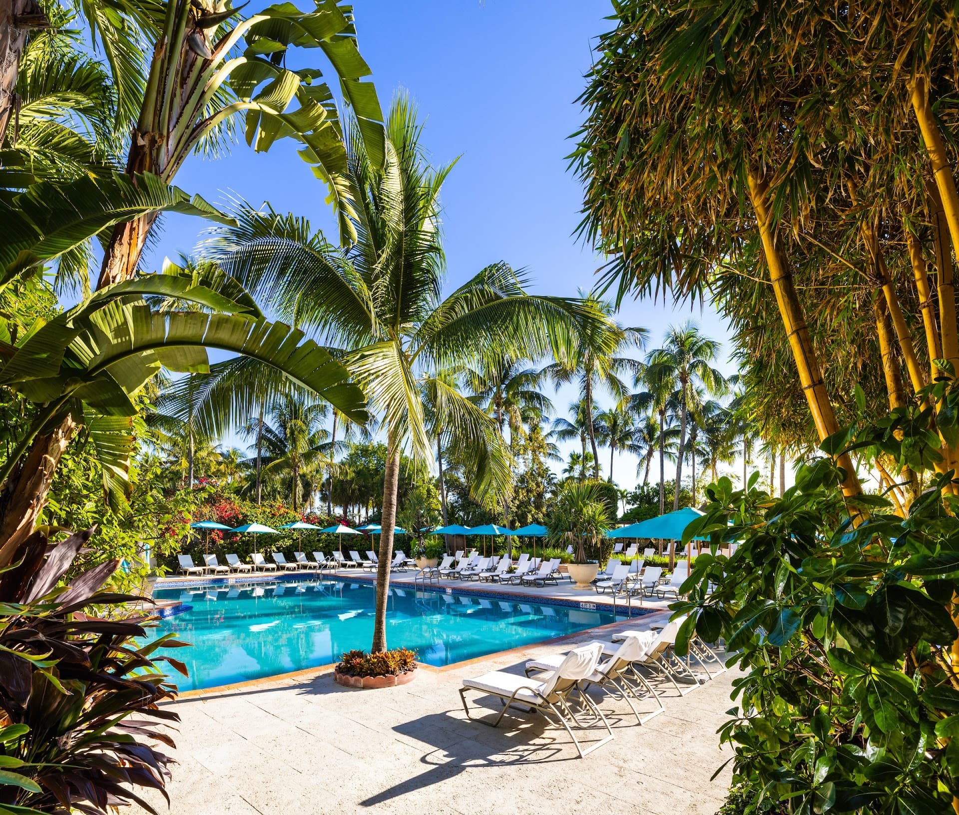Beautiful pool area at The Palms Hotel & Spa Miami Beach