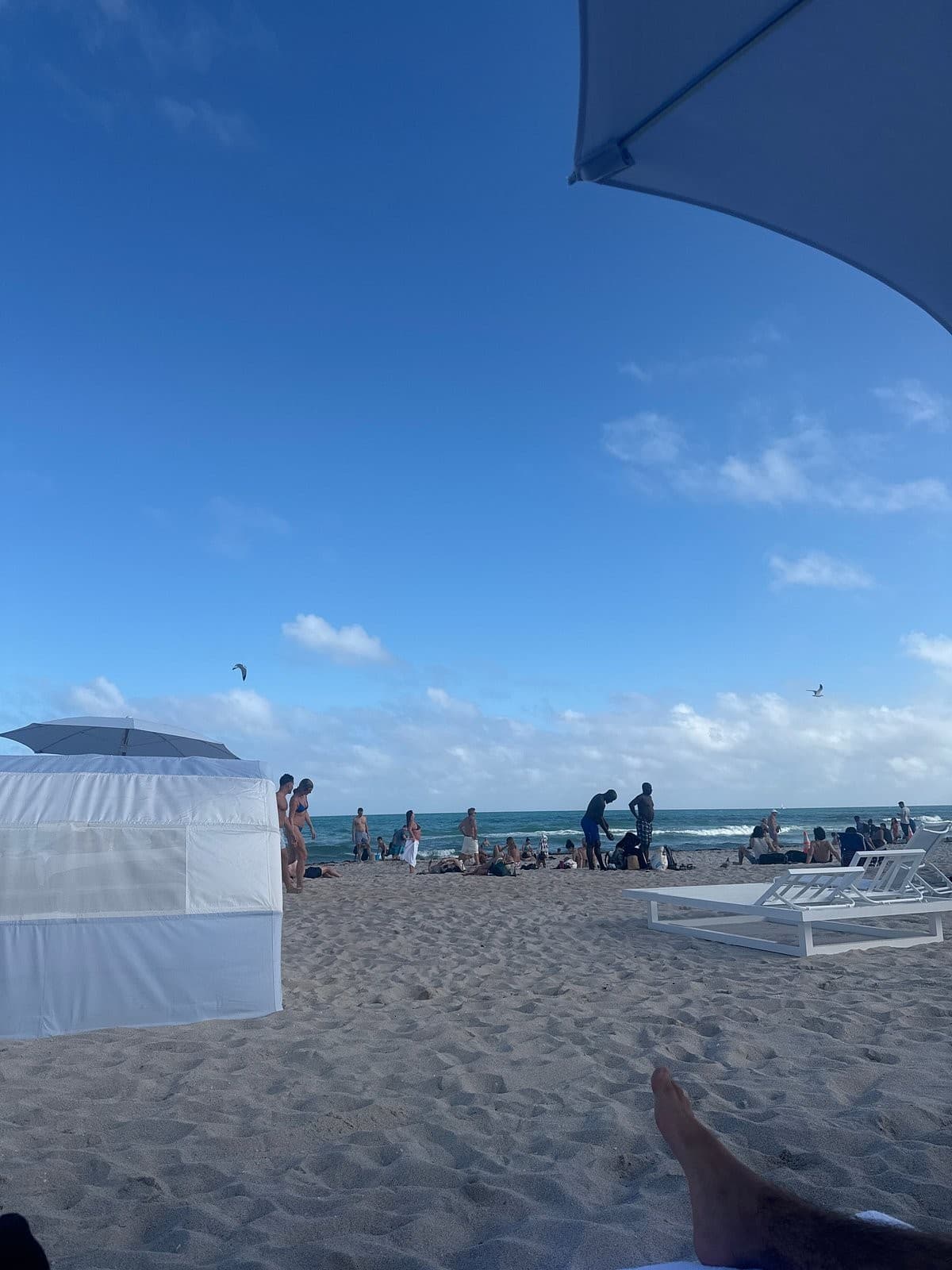 Beach view of The Ritz-Carlton, South Beach, Miami Beach