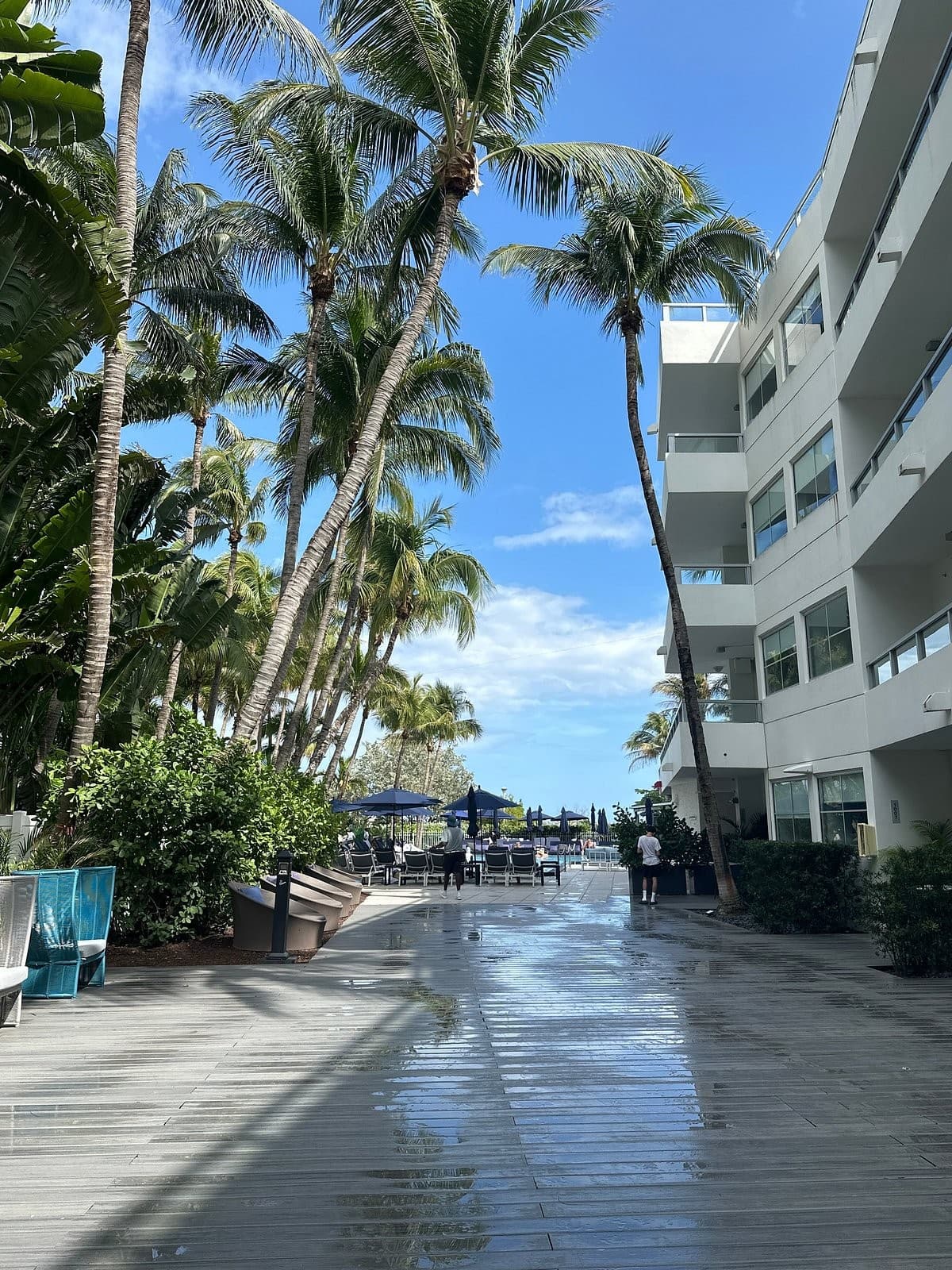 Sagamore Hotel South Beach pathway at 1671 Collins Ave