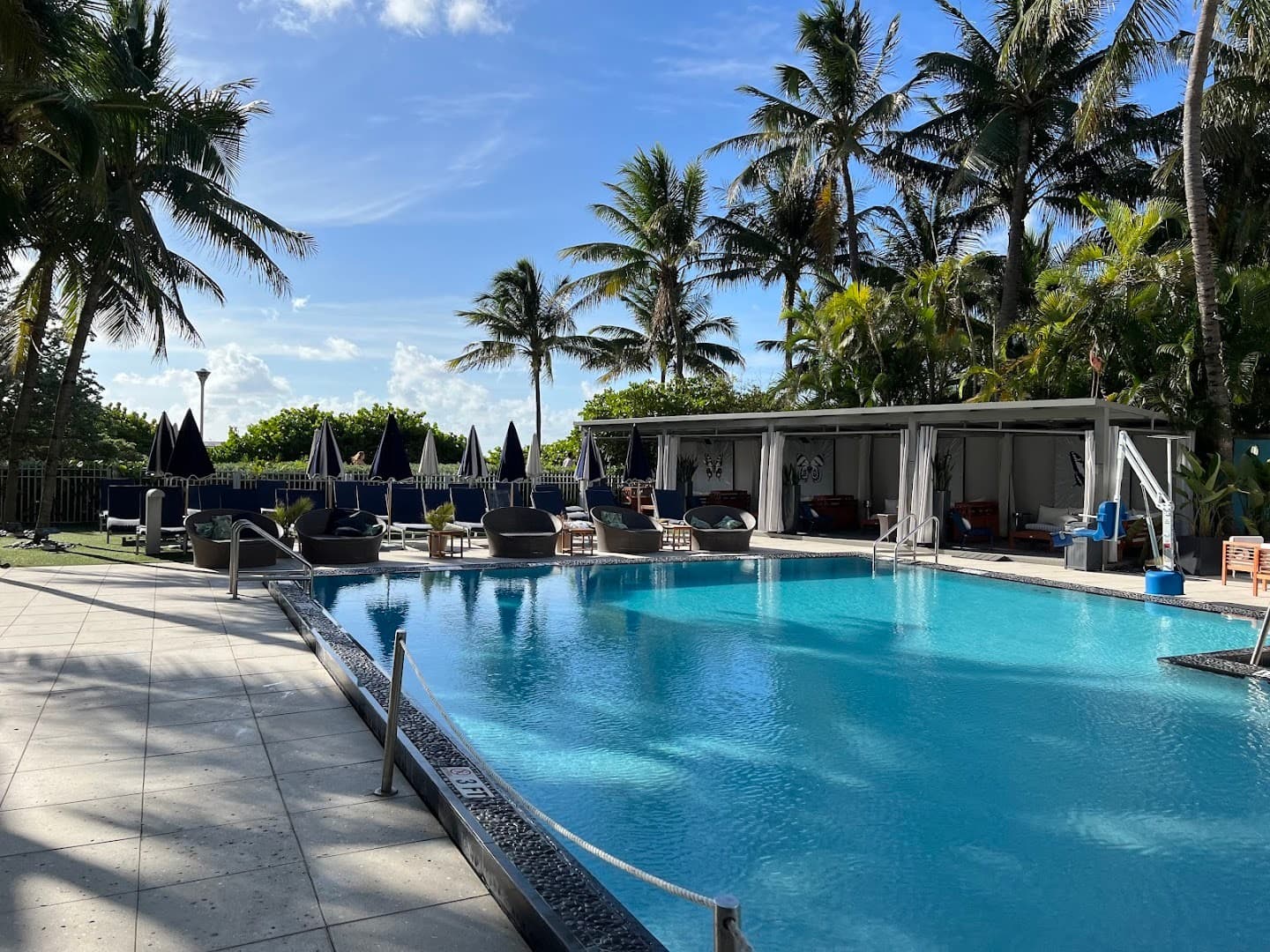 Sagamore Hotel pool area with palm trees, 1671 Collins Ave