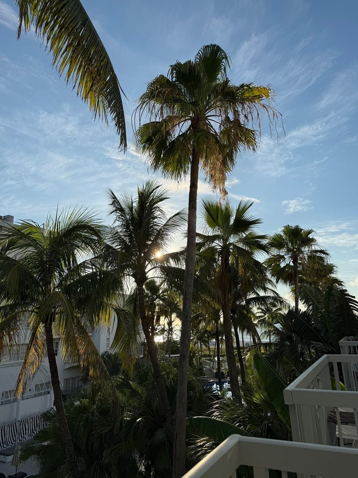 Scenic view from The Savoy Hotel & Beach Club, Miami Beach