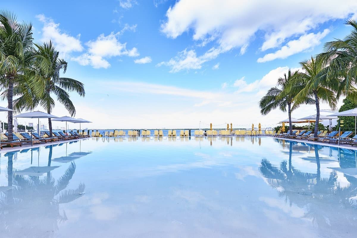 The Standard Spa, Miami Beach pool and palm trees