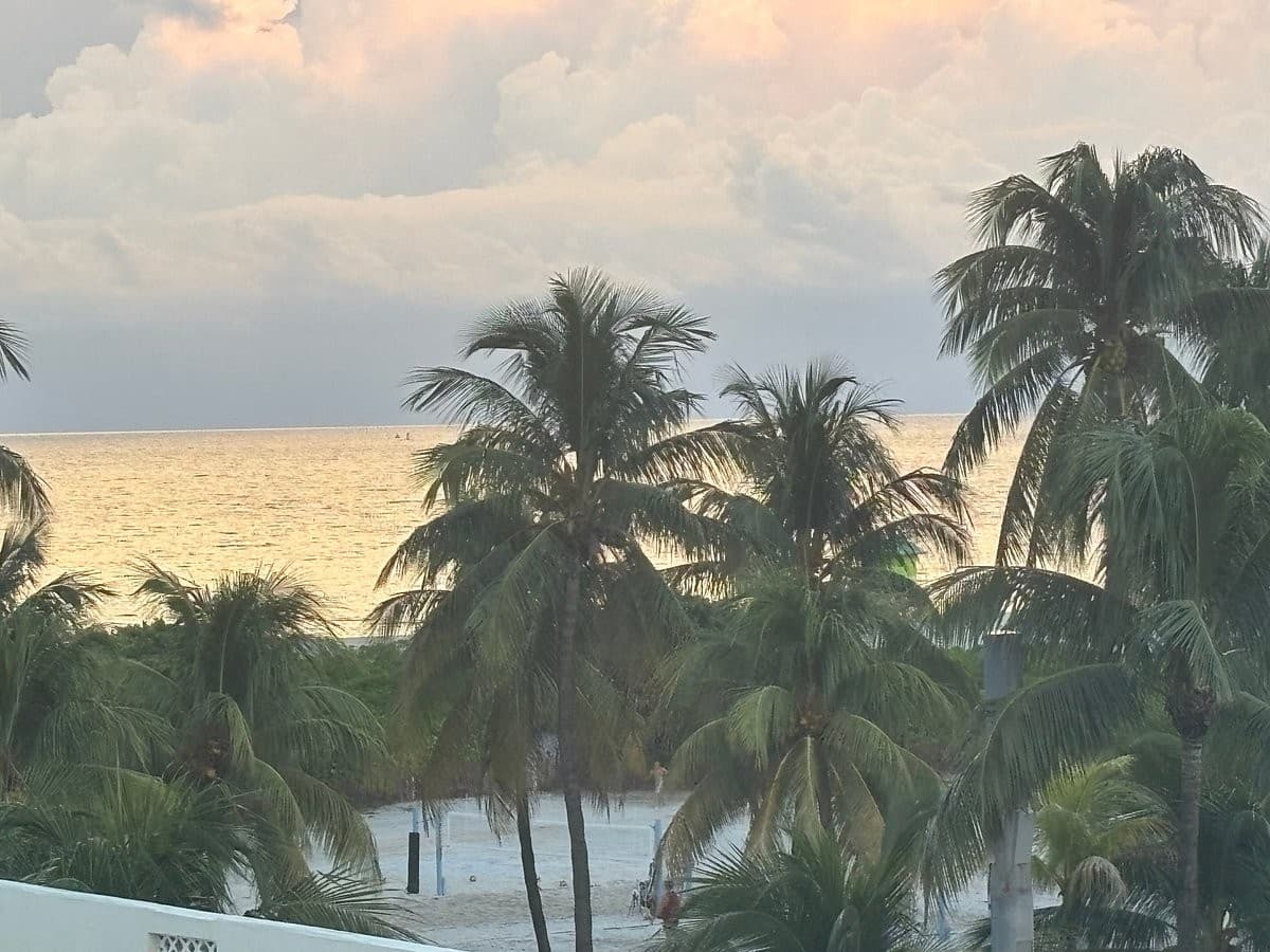 Scenic view from The Tony Hotel South Beach, Miami Beach