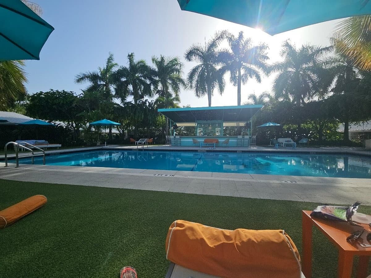 The Vagabond Hotel Miami pool area with palm trees