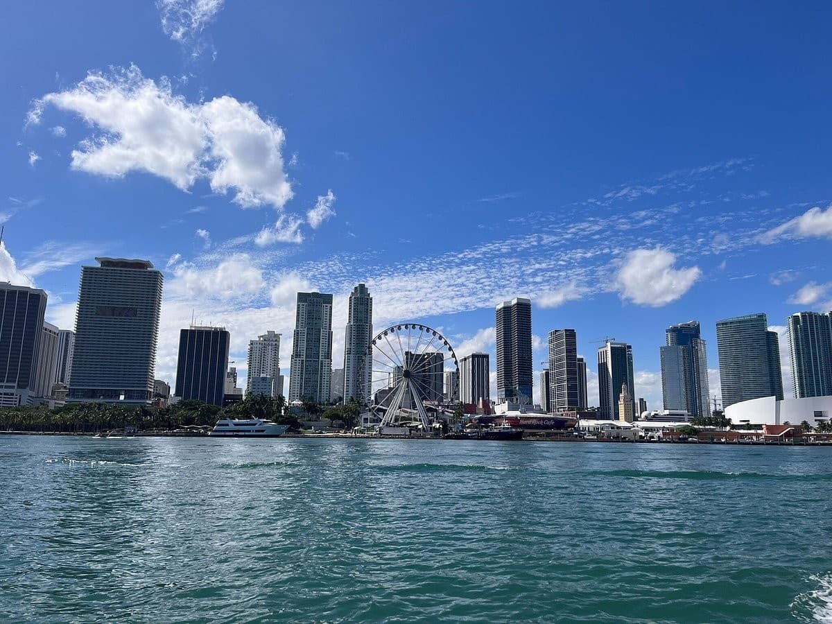 Miami skyline with Ferris wheel and water view