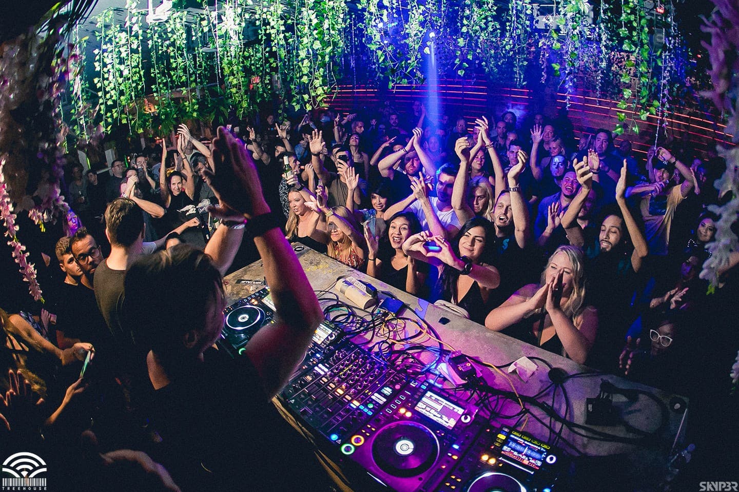 Lively nightlife scene at Treehouse in Miami Beach