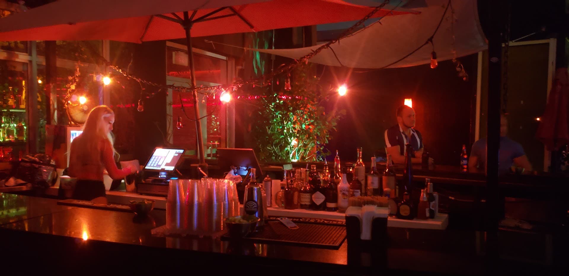 Bar scene at Treehouse in Miami Beach, vibrant ambiance