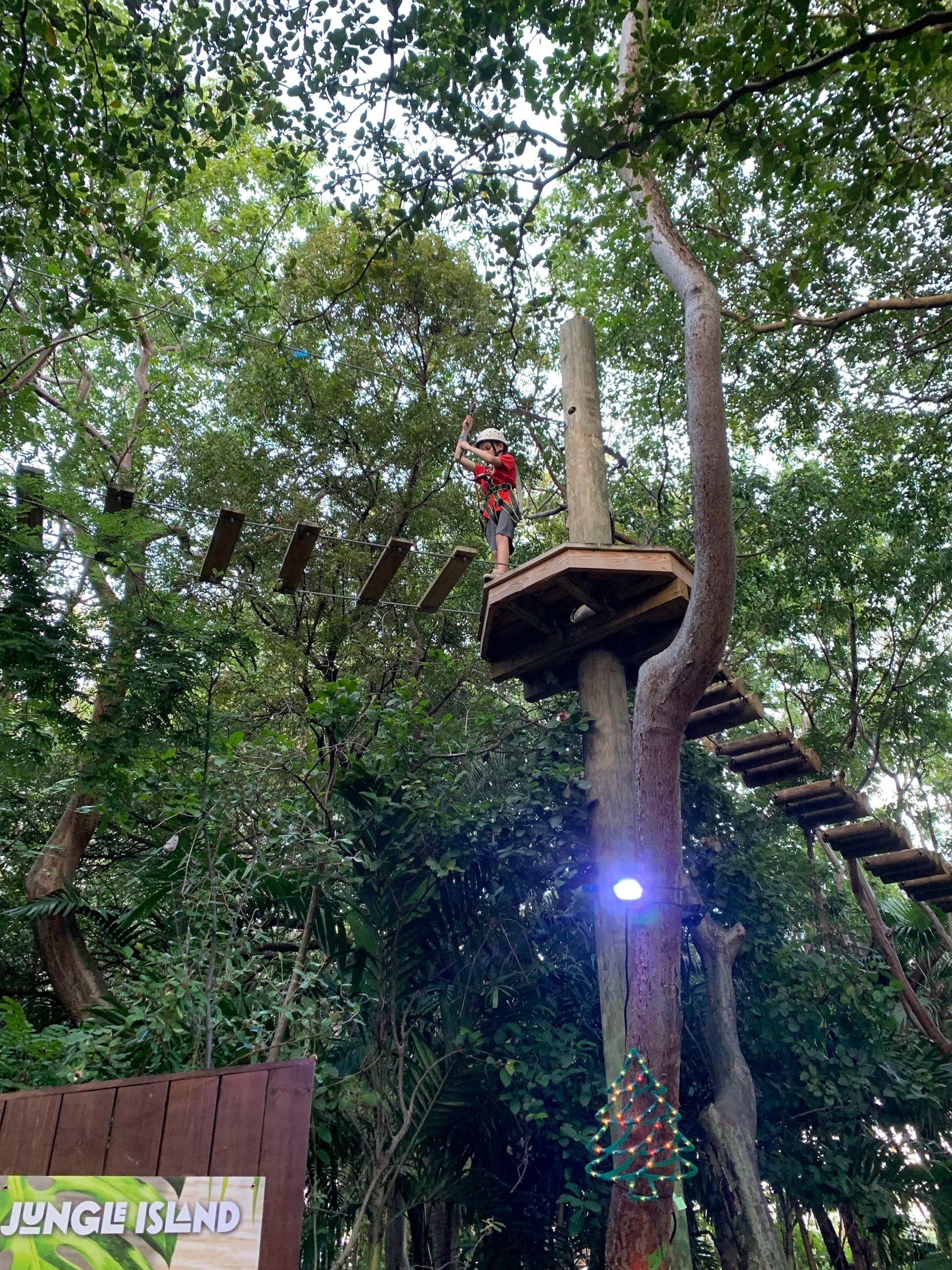 Treetop Trekking Miami tree top adventure experience