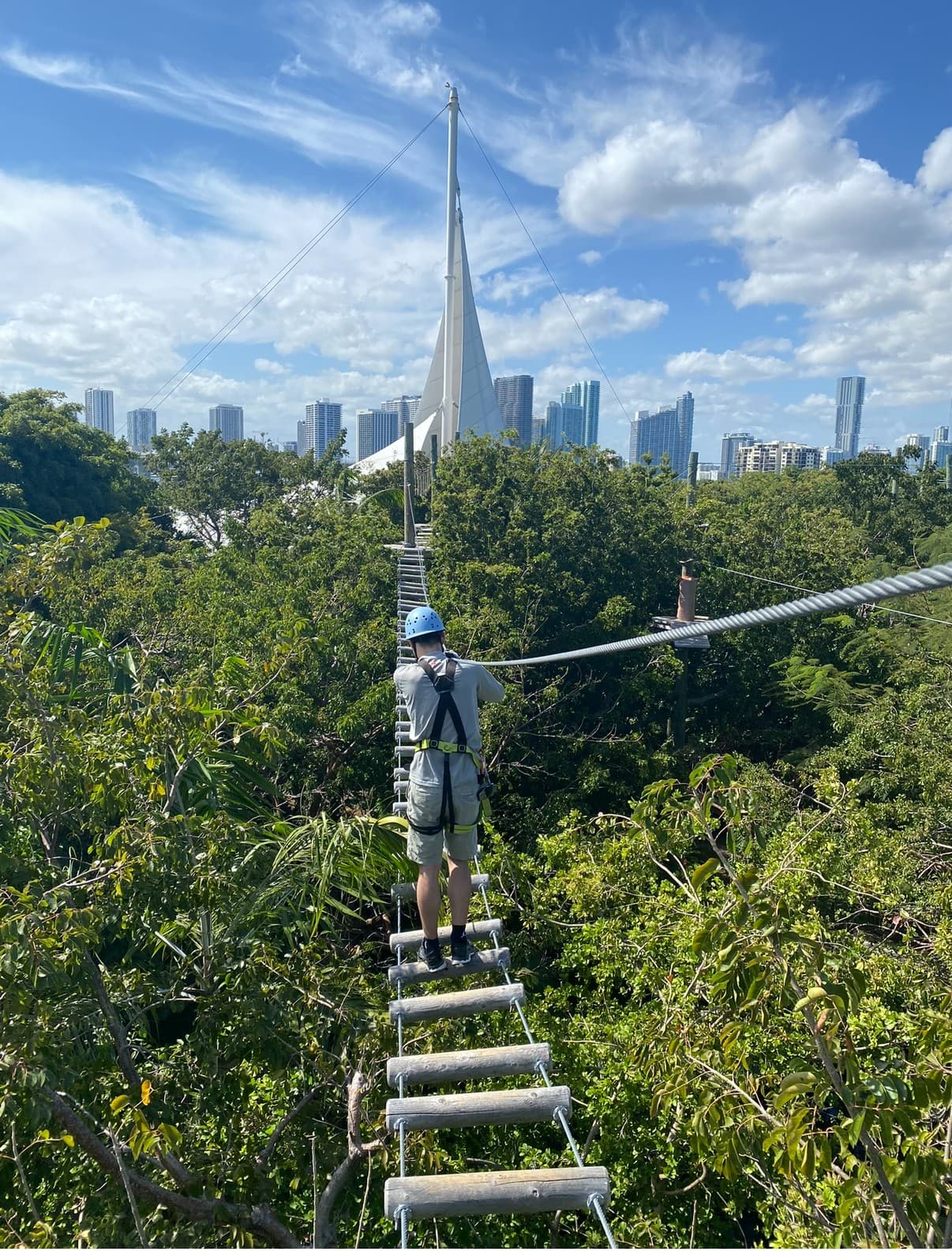 Treetop Trekking Miami outdoor adventure attraction