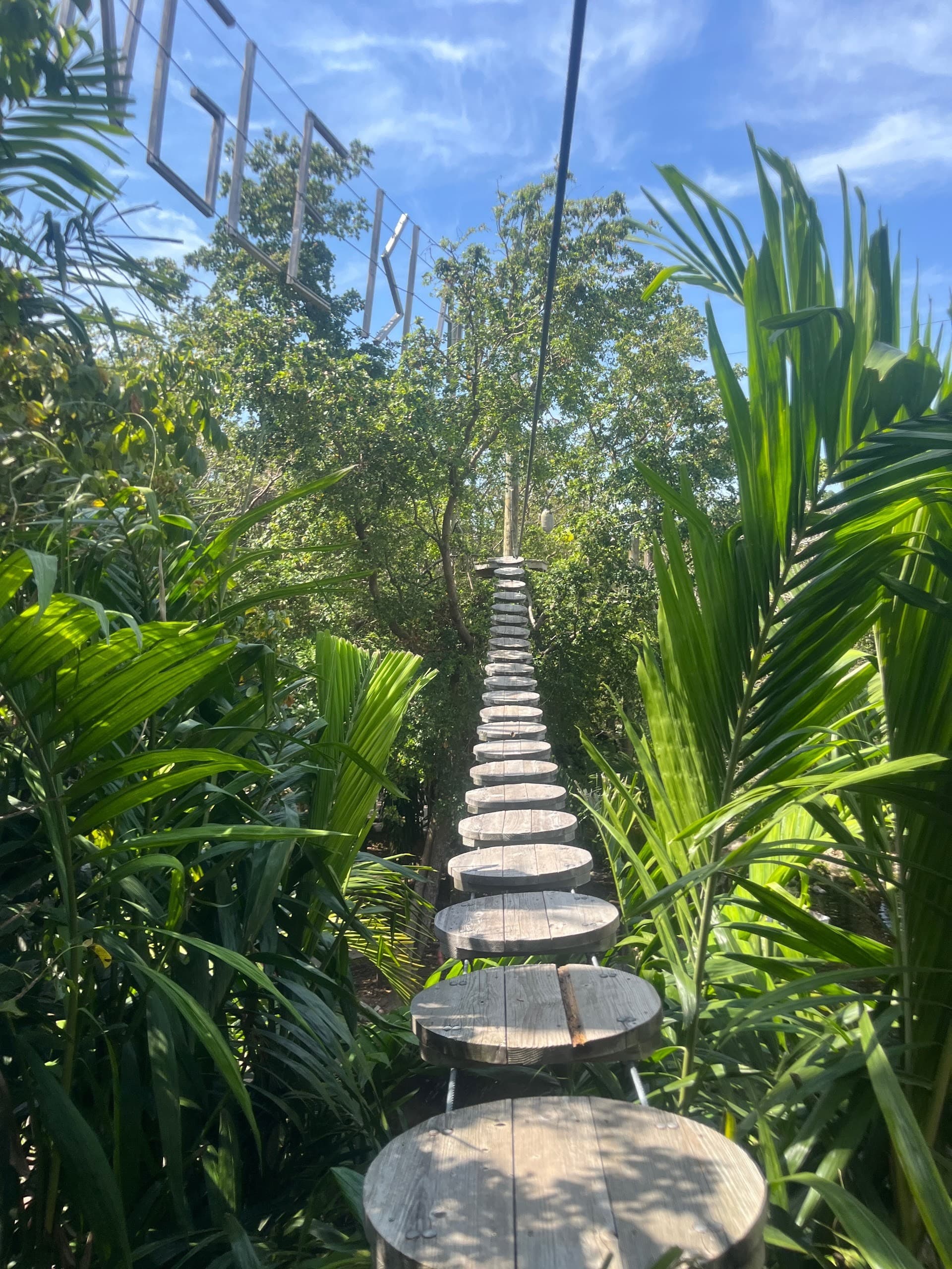 Treetop Trekking Miami aerial walkway surrounded by greenery