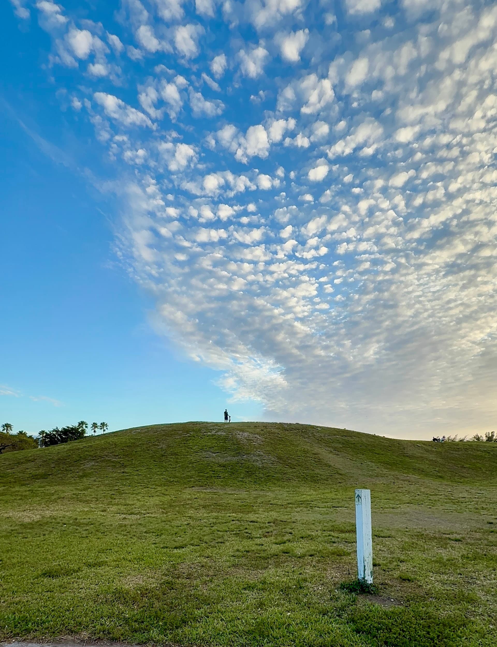Scenic view of Tropical Park in Miami