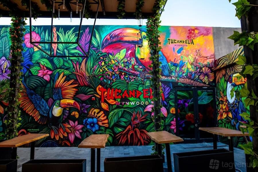 Tucandela Wynwood vibrant mural in Miami