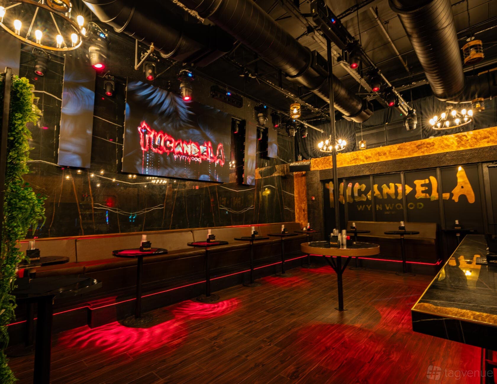 Stylish interior of Tucandela Wynwood in Miami