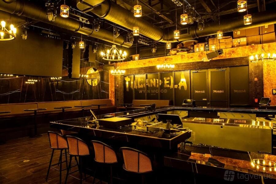 Stylish interior of Tucandela Wynwood in Miami