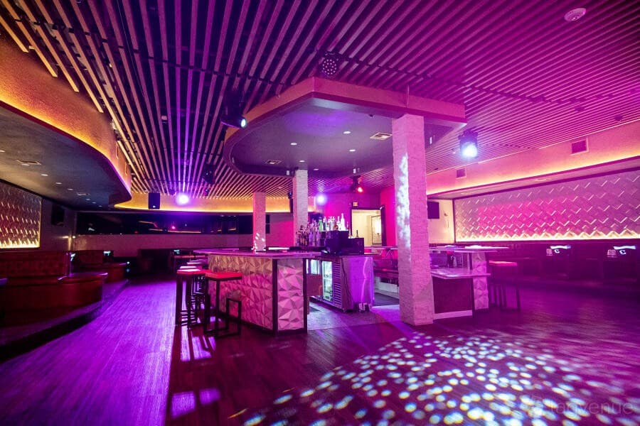 Stylish interior of Tucandela Wynwood in Miami