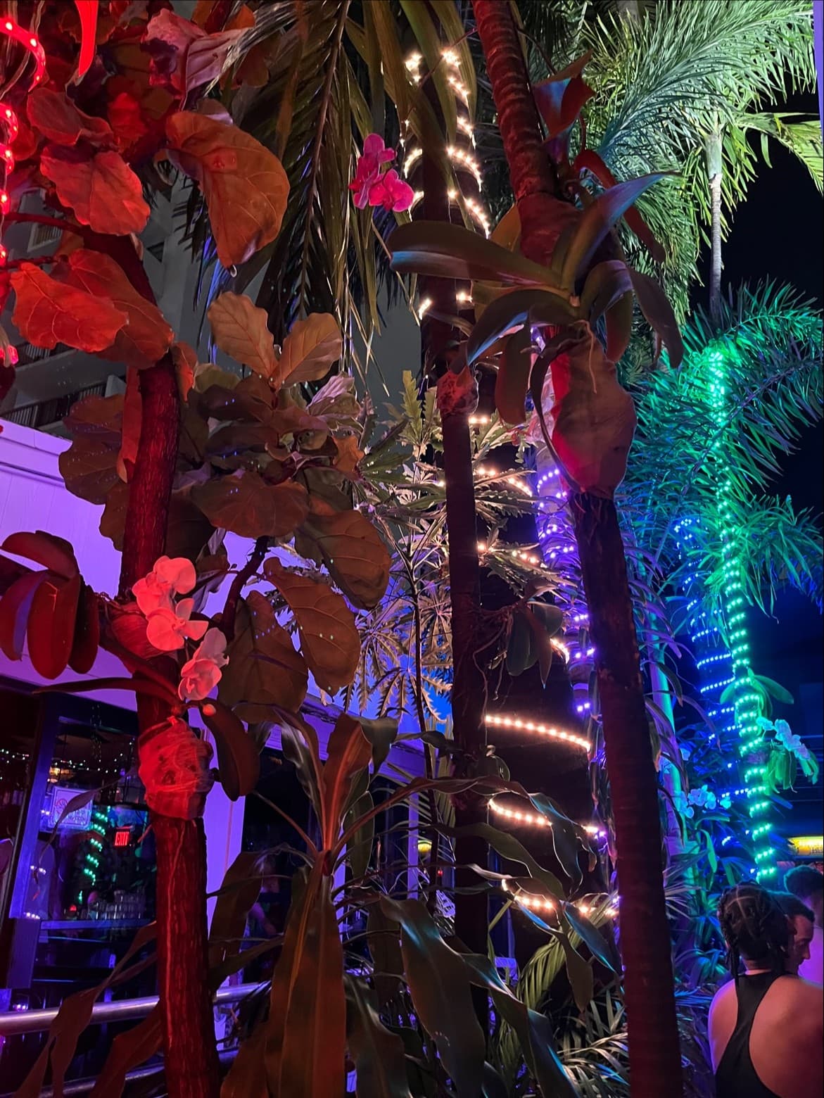 Colorful ambiance at Twist Miami Beach with vibrant decor