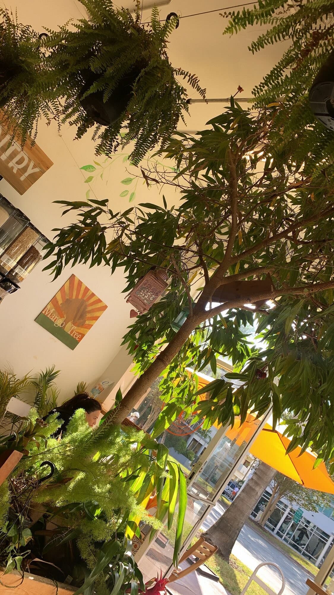 Interior view of Under the Mango Tree in Miami Beach