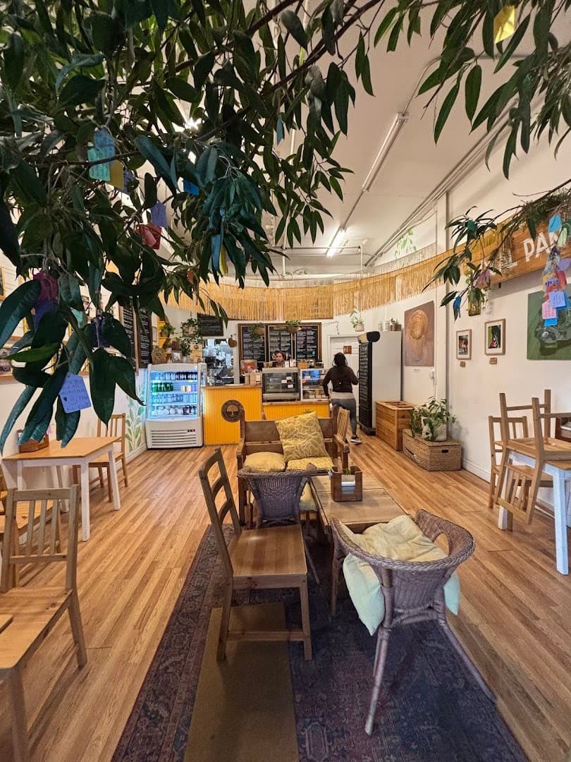Cozy interior of Under the Mango Tree in Miami Beach