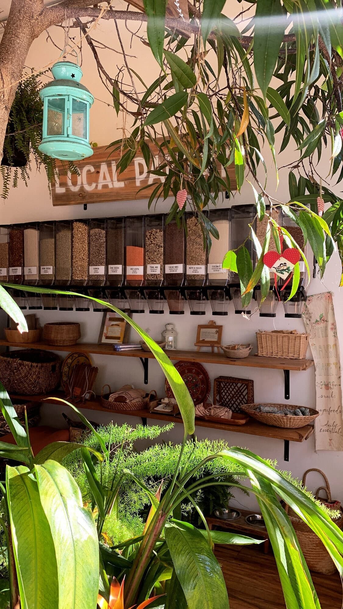 Interior view of Under the Mango Tree restaurant in Miami Beach