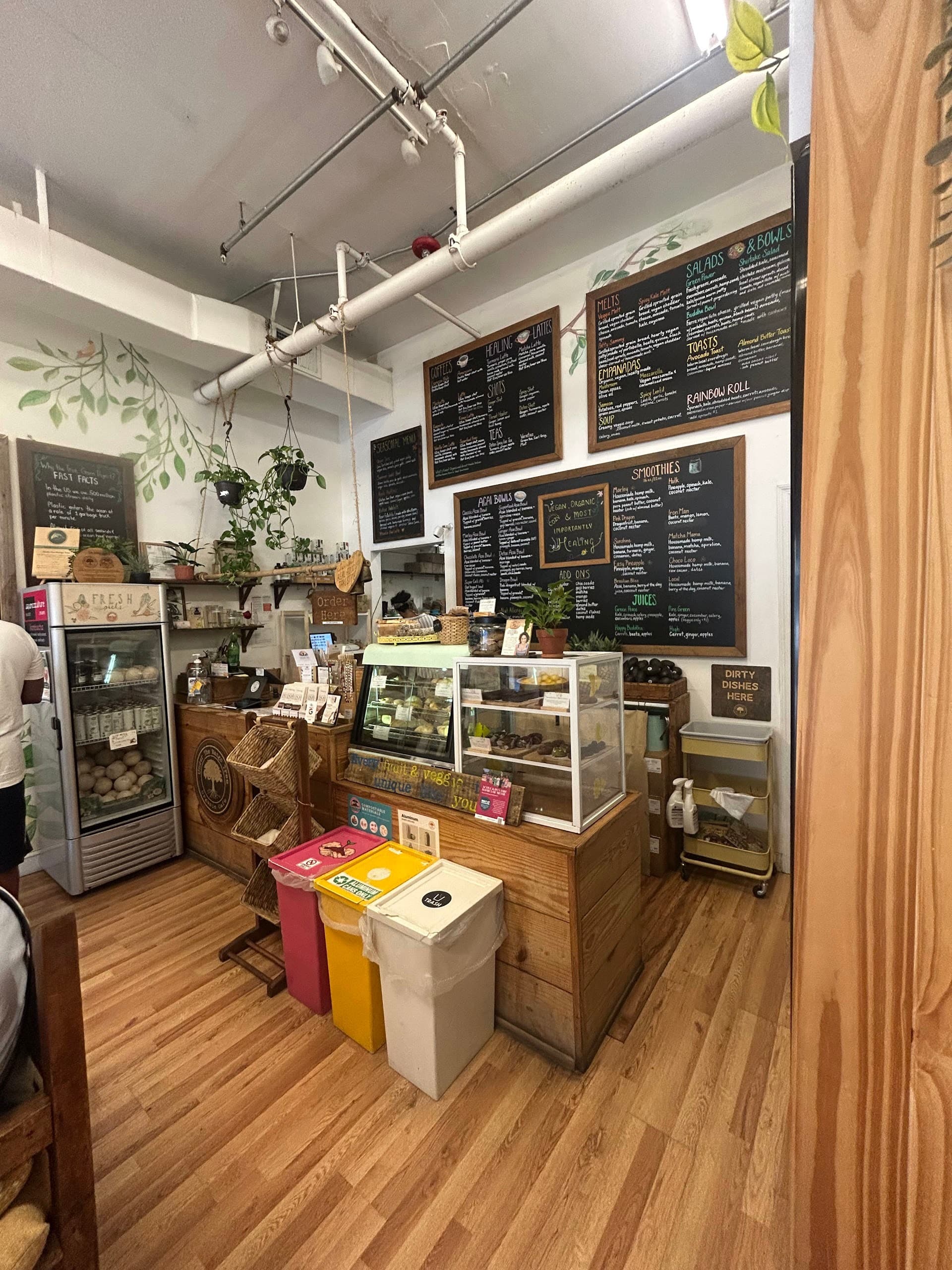 Interior view of Under the Mango Tree in Miami Beach
