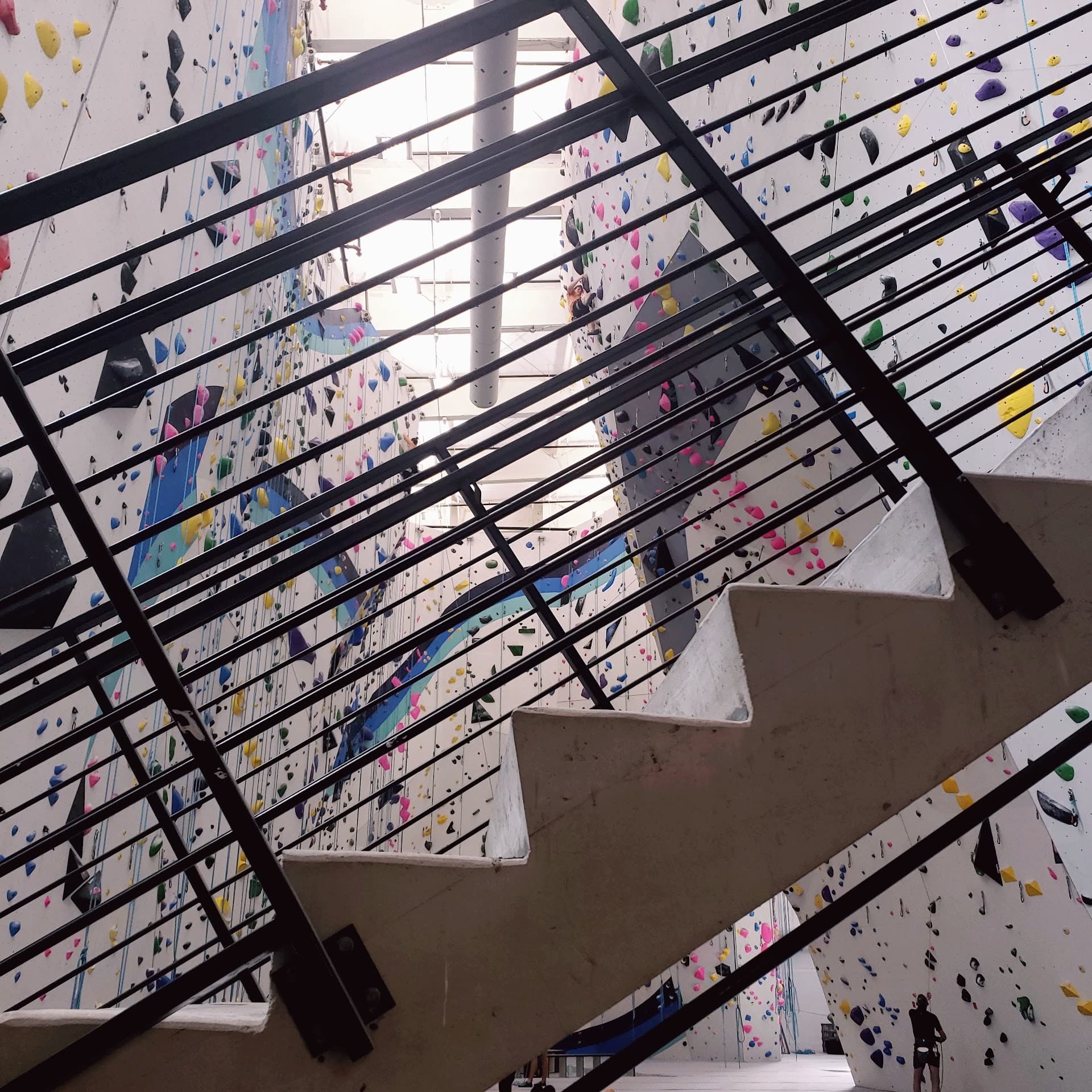 Velocity Climbing indoor climbing walls in Miami