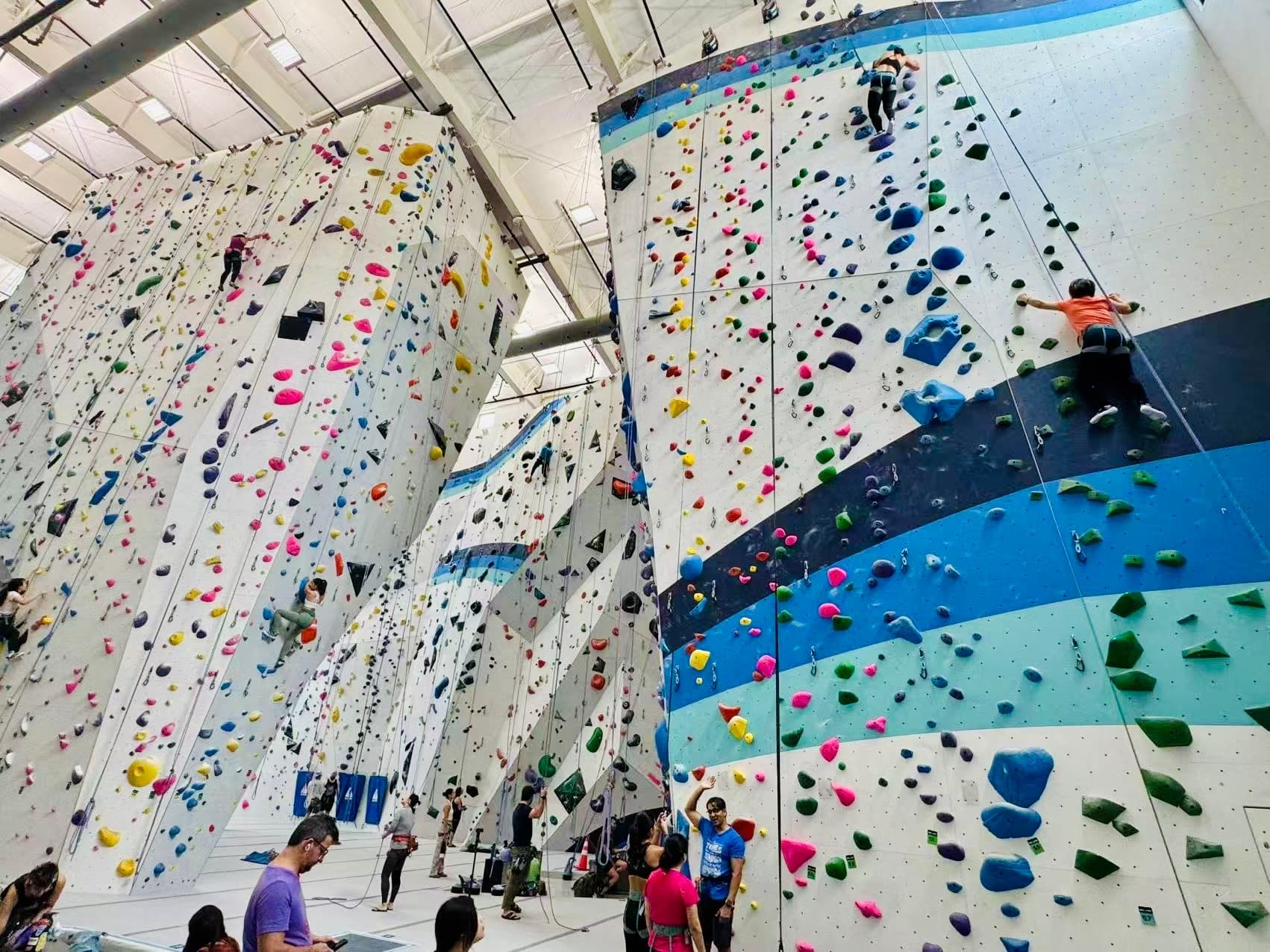 Climbers at Velocity Climbing in Miami