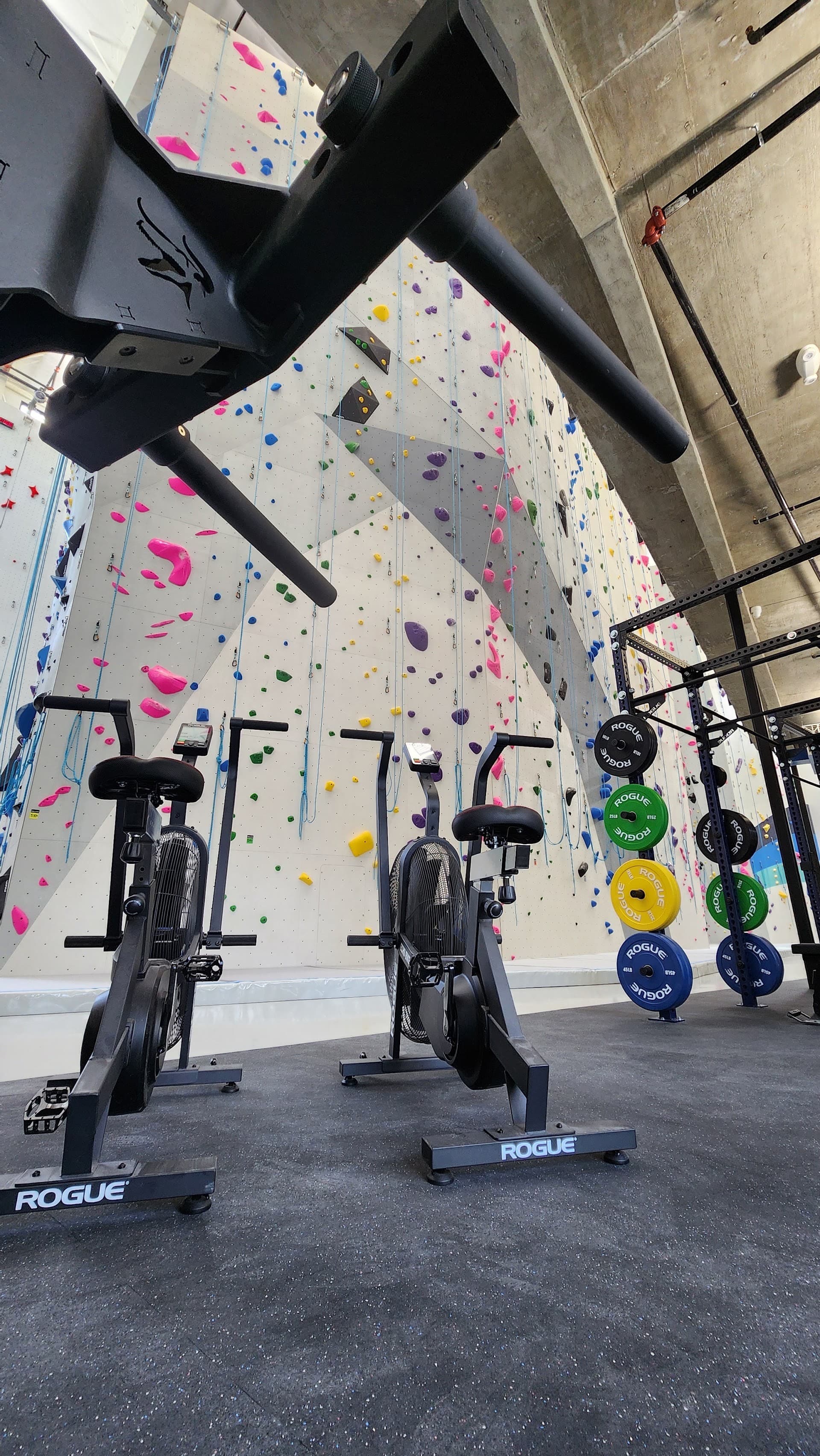 Climbing wall and fitness equipment at Velocity Climbing Miami