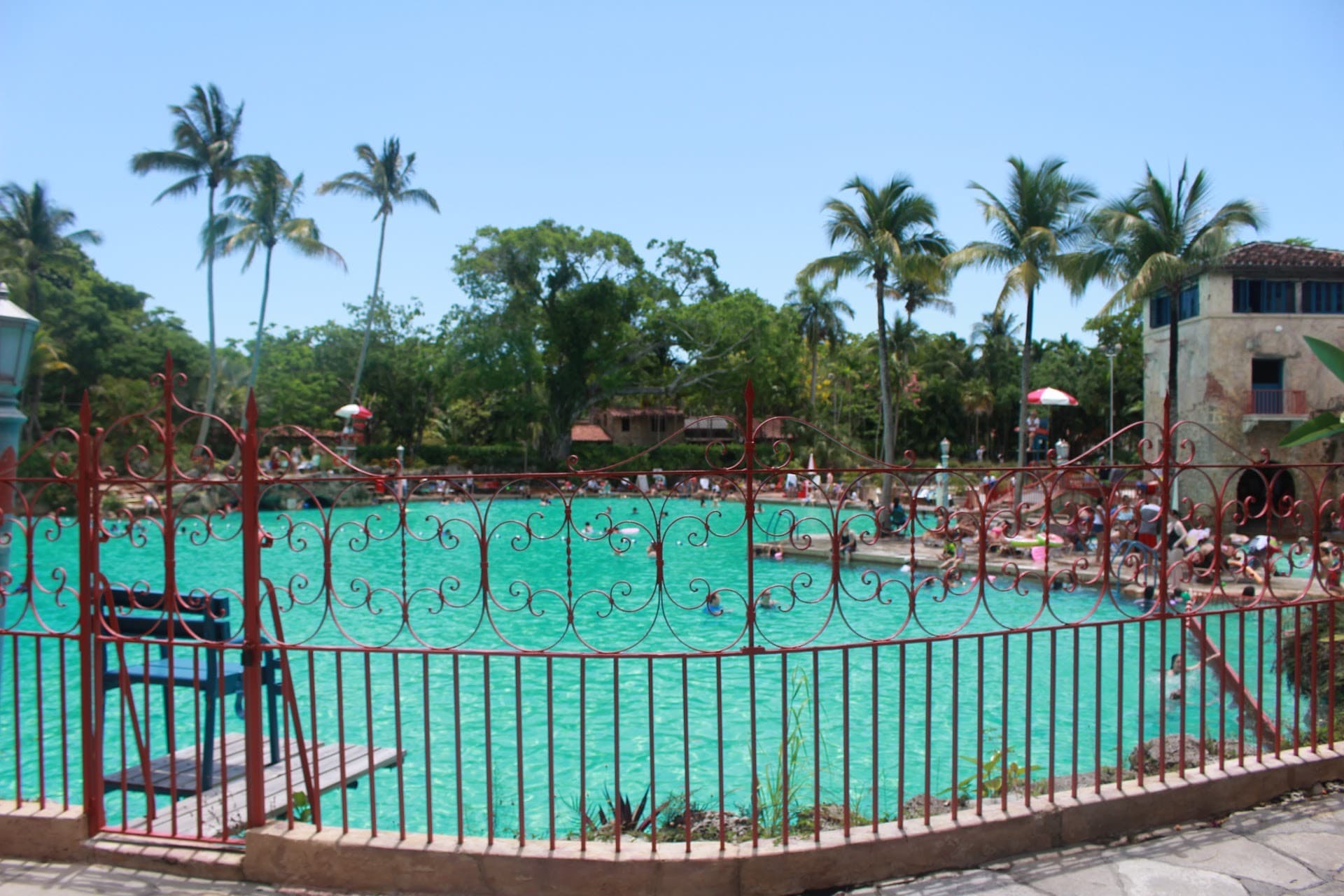Venetian Pool in Coral Gables, Miami with lush surroundings