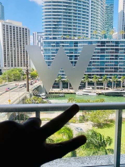 View from W Miami hotel showcasing cityscape and palm trees