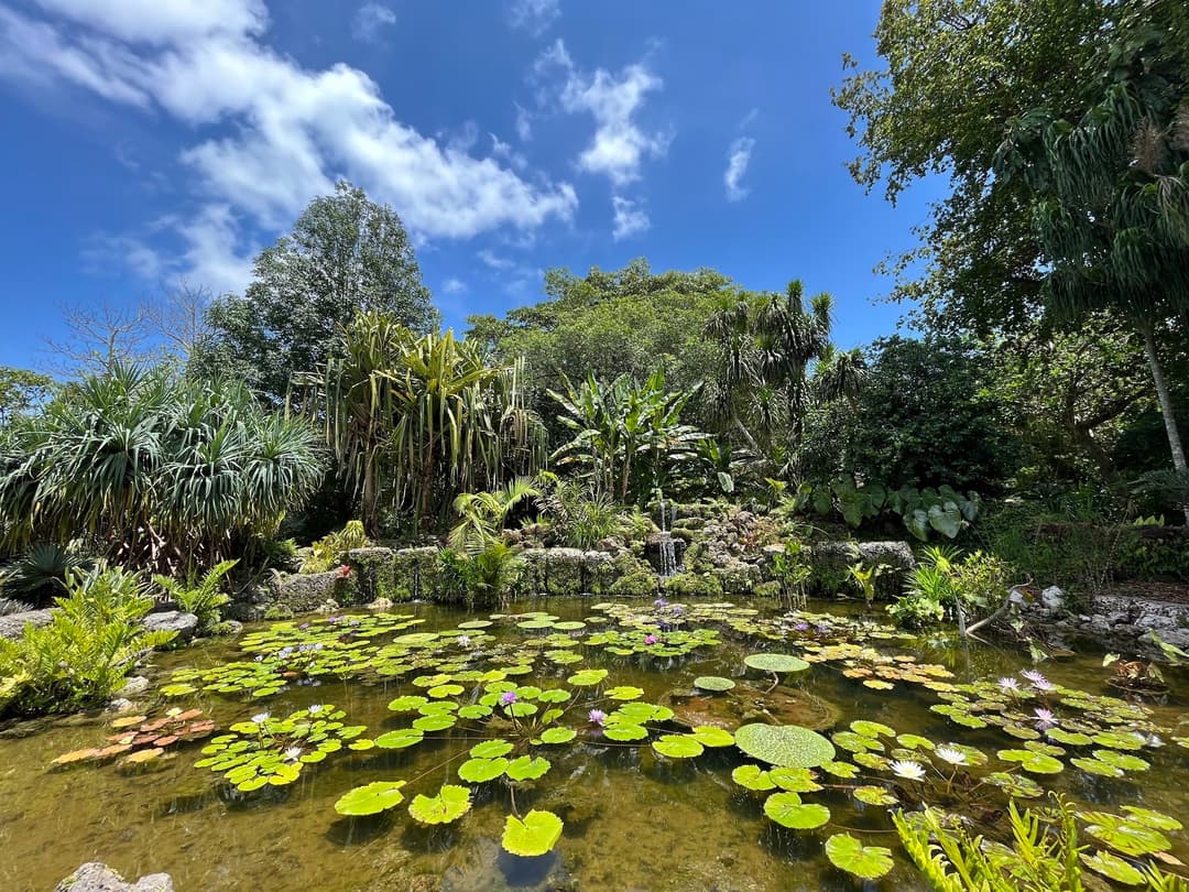 Fairchild Tropical Botanic Garden – Coral Gables | MiamiExpl